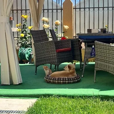 Adina Эфорие Норд